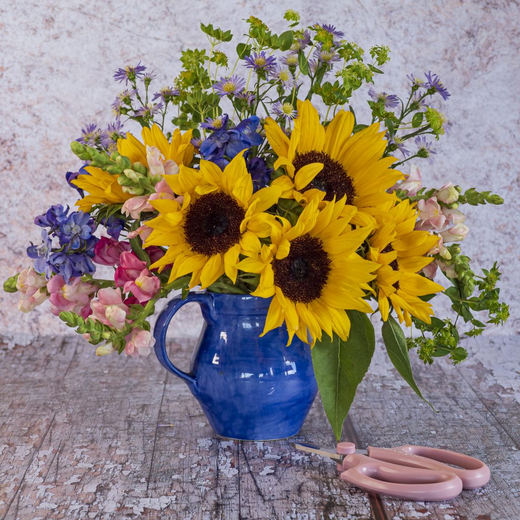 Photograph of Sunflowers in a Blue Jug - Still- Life Photography with Background